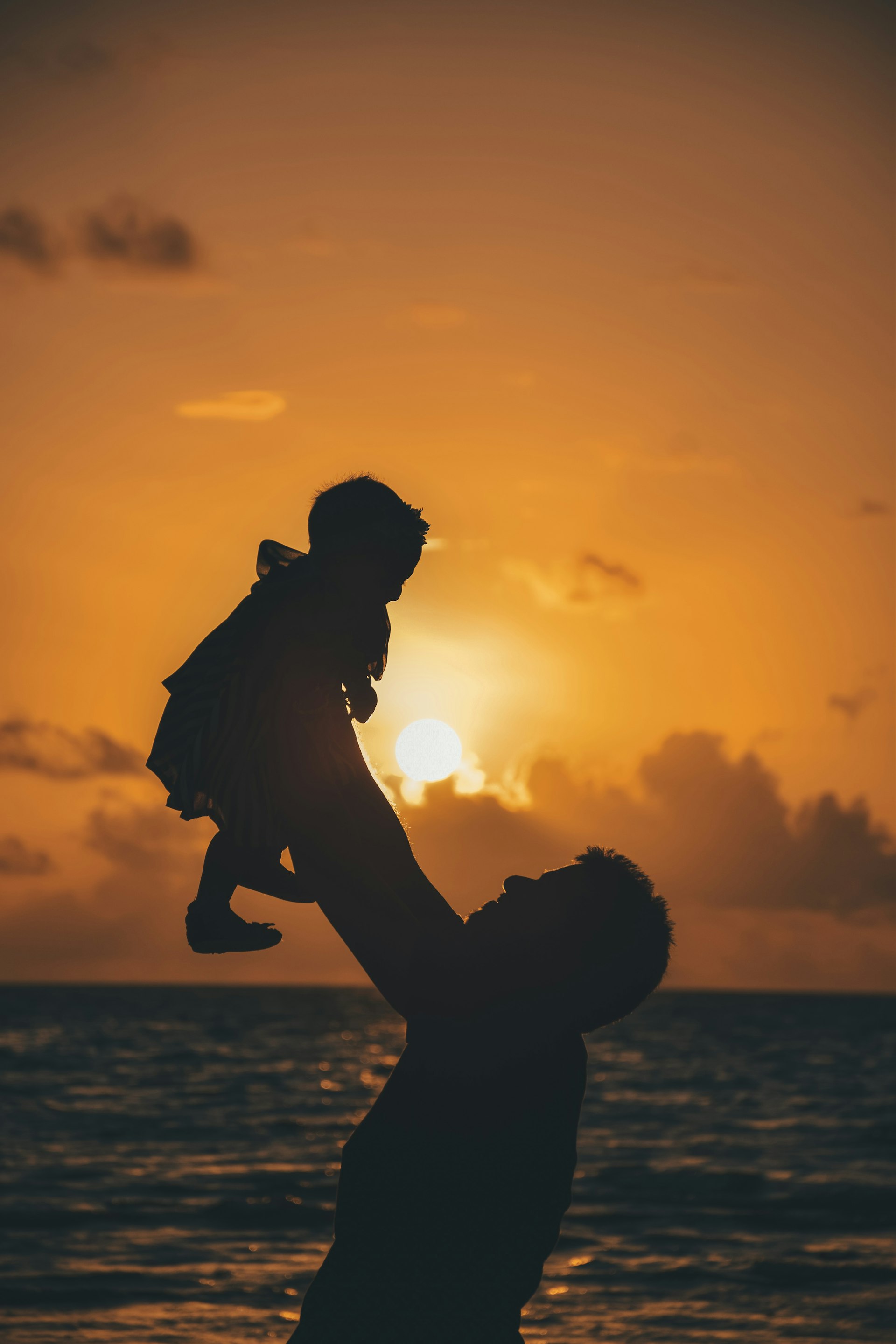Silhouette of a parent carrying a baby during golden hour